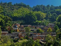 -杨家堂村