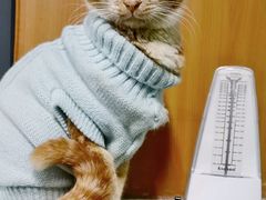 -沃尔玛购物广场(南城印象汇店)