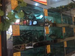 -蜀滋香鲜鱼美蛙火锅(339店)
