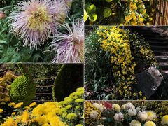 -杭州植物园