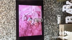-baby bella小贝拉母婴护理中心(珠海希尔顿店)