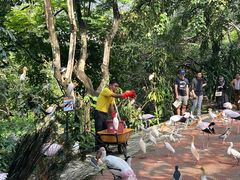 -吉隆坡雀鸟公园