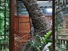 -丽江庭院·云南野生菌·海鲜火锅(鼓楼四合院店)