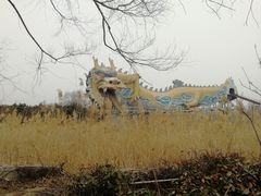 -太阳部落