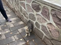 -绿野餐厅(上海动物园店)