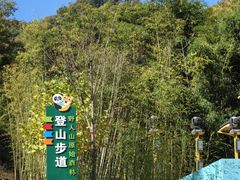 -栾川竹海野生动物园