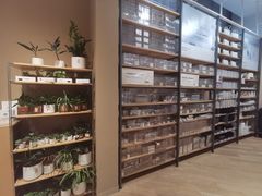-MUJI无印良品(华贸店)