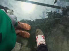 玻璃栈道-罗田天堂寨风景区