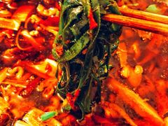 -黔江鸡杂火锅(红星路一段)