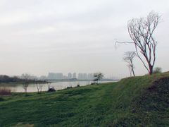 -盘龙城国家考古遗址公园