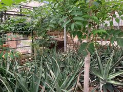 -上海都市菜园