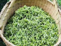 -龙坞茶村