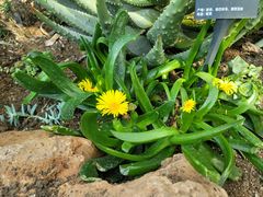 -北京植物园-展览温室