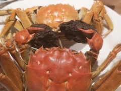 -星伦多自助料理(爱琴海店)