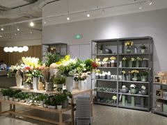 -OCE(熙地港购物中心店)