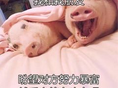 -鸣记脆皮烤鱼(铁西店)