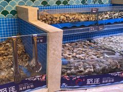 -乔哥铭洋海鲜自助(皇城恒隆广场店)