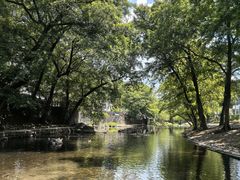 -鹿亭中村