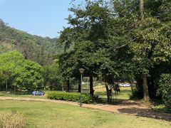 -南宁良凤江国家森林公园