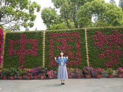 -东平国家森林公园