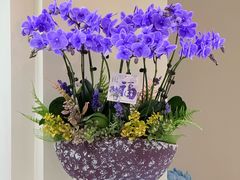 -F.Story 花和故事(新天地店)