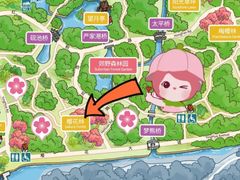 -顾村公园