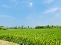 -良渚古城遗址公园