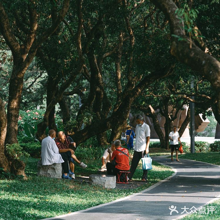 扫街日记📸•深圳蛇口人的青春| 四海公园💚