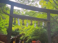 -野宫神社