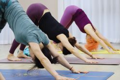 -酉嘉瑜伽YO+YOGA