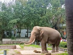 -重庆动物园·东二门售票处