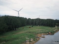 -长江澳风力发电景观区