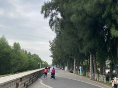 -宝安西湾红树林湿地公园