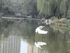 -木塔寺遗址生态公园