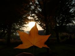 -雕刻时光咖啡馆(北航店)