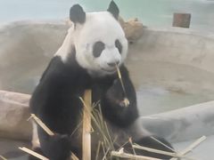 -柳州市动物园