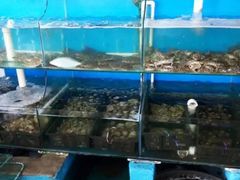 -老船长海鲜坊