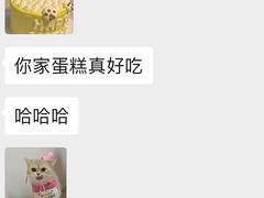 -卡比儿童蛋糕·心意定制·低脂零卡糖动物奶油FancyBALLOON(滨海店)
