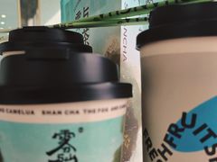 -雾与山茶(大禹城店)