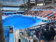 -海合安成都极地海洋公园