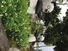 iphone_upload_pic-白沙湾海滩