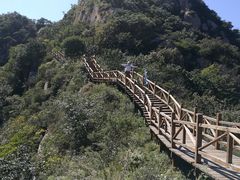 -大岭沟猕猴桃谷风景区