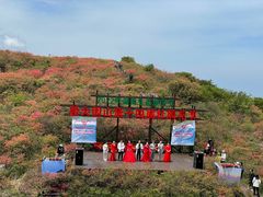 -大围山国家森林公园