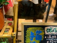 -猫的天空之城概念书店(杭州南宋御街店)