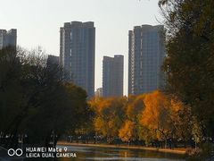 -天津君隆威斯汀酒店