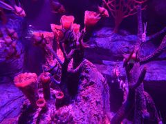 -沈阳海洋探索中心