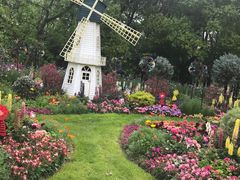 -上海共青森林公园