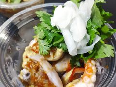 白灼章鱼-铭聚章鱼土笋冻(松柏店)