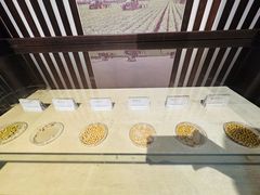 -厨邦酱油文化博览馆