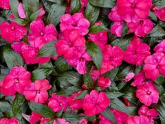 -南越王博物院(王宫展区)